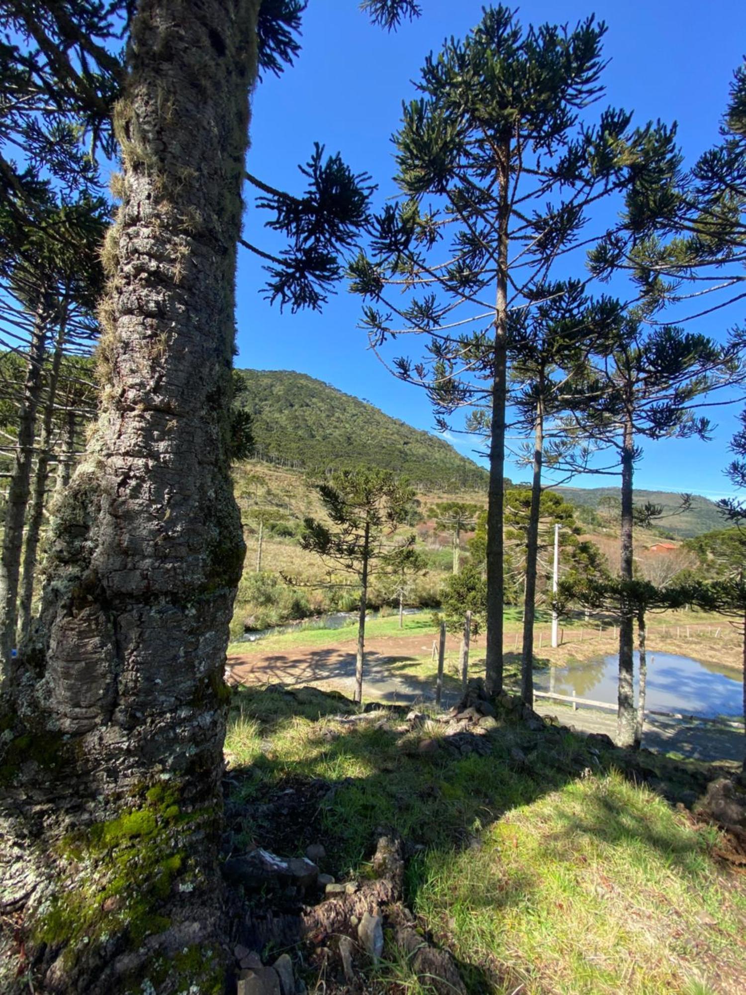 Lodge Estalagem Serrana